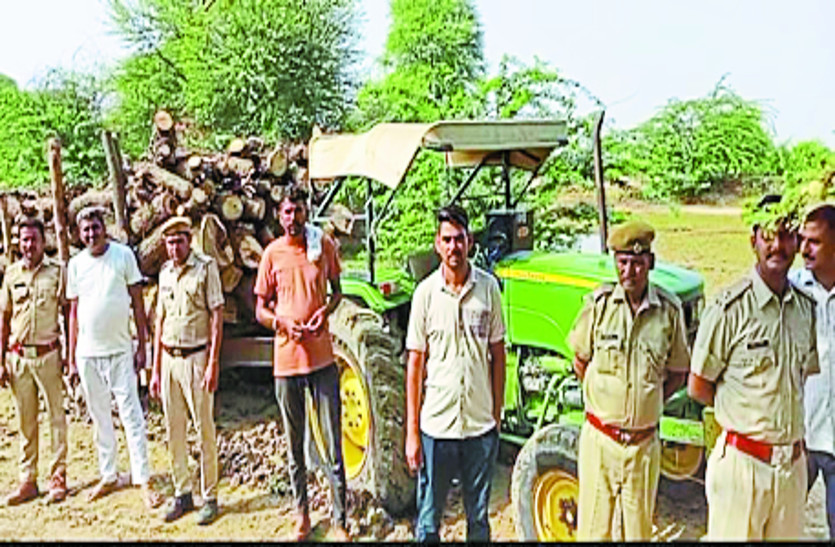 राज्य वृक्ष खेजड़ी से भरा ट्रैक्टर रेहड़ा जब्त