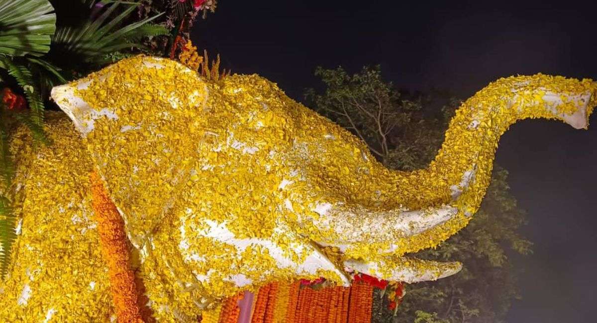 Photos: राममय अयोध्याधाम! 100 मंचों पर सांस्कृतिक शोभायात्रा के सारथी बनेंगे
2500 लोक कलाकार