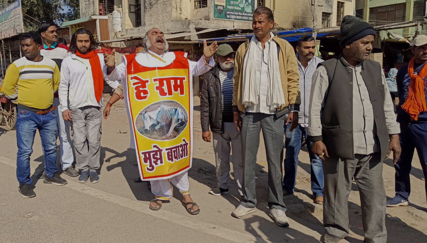 निराश्रित गोवंश को बचाने अनूठे अंदाज में किया प्रदर्शन