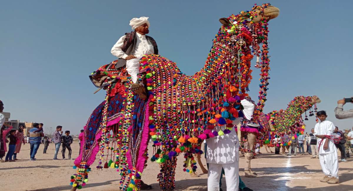 Jaisalmer Maru Mahotsav 2024 : तीसरे दिन छा गया रेगिस्तानी जहाज का जादू, विदेशी
सैलानियों ने भी दिखाया जोर