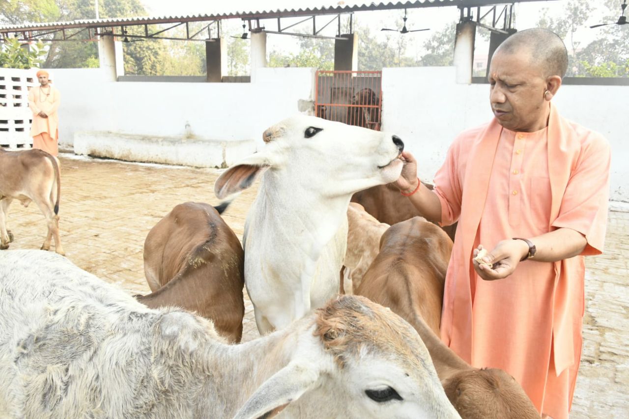 Video: मुख्यमंत्री योगी आदित्यनाथ की एक आवाज पर दौड़ी चली आती है ‘छोटकी’