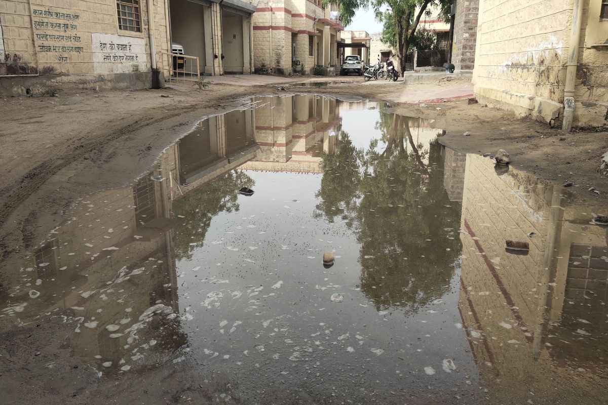 Weather Report: सांकड़ा में 2, फलसूंड में 8 व भणियाणा में 16 एमएम बारिश, किसान
चिंतित