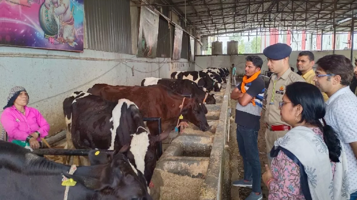 अमरोहा में गो-तस्करी का पर्दाफाश, गोशाला की आड़ में चल रहा था खेल, 18 गायों के
साथ 11 तस्कर गिरफ्तार